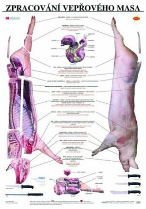 Zpracování vepřového masa