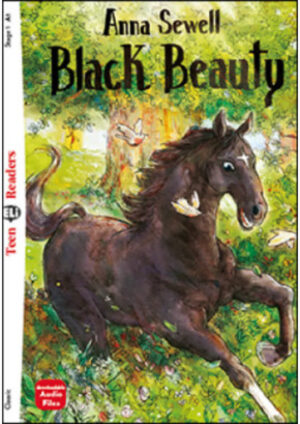 BLACK BEAUTY + Down.Mul.