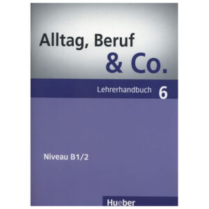 Alltag, Beruf & Co. 6,Lehrerhandbuch