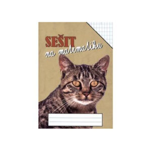 Sešit na matematiku - obdélníková síť 5 x 7mm